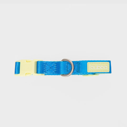 COLLAR PETS COLLECTION