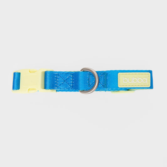 COLLAR PETS COLLECTION