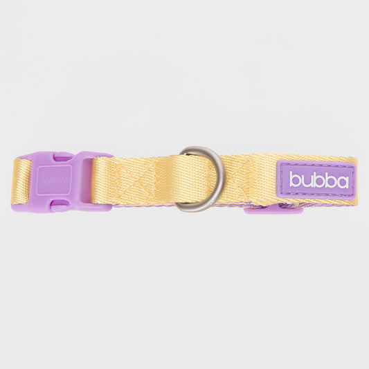 COLLAR PETS COLLECTION