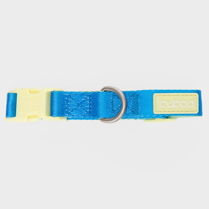 COLLAR PETS COLLECTION