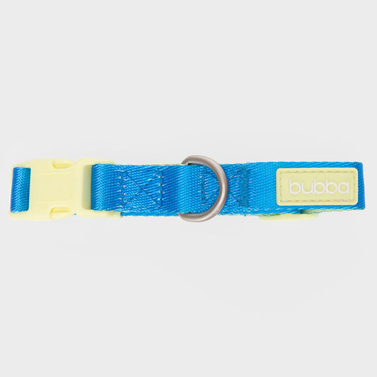 COLLAR PETS COLLECTION