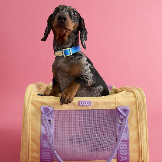 TRANSPORTADOR PETS COLLECTION